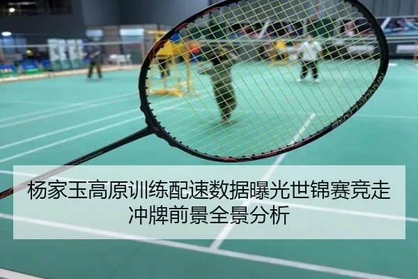 杨家玉高原训练配速数据曝光世锦赛竞走冲牌前景全景分析